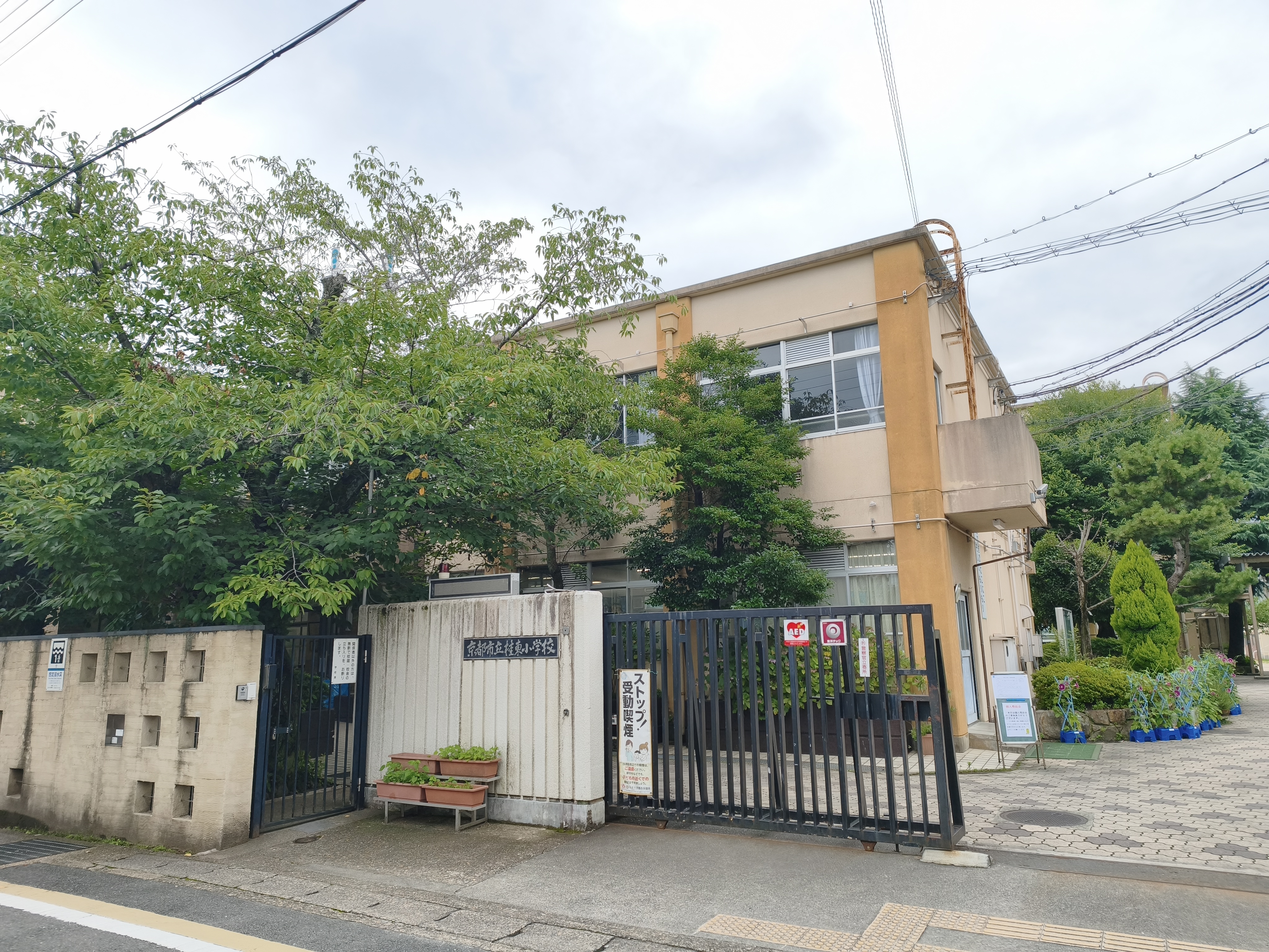 桂東　小学校